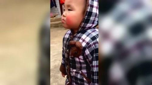 小鱼仙馆爆料视频大全最新